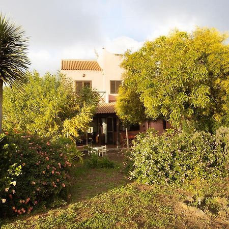 Home2Book Amazing Teide View & Terrace Sauzal Bagian luar foto