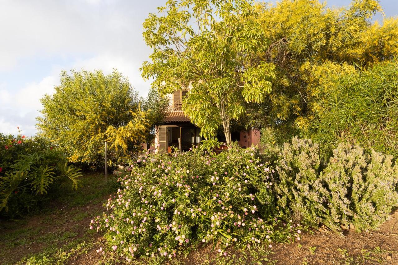 Home2Book Amazing Teide View & Terrace Sauzal Bagian luar foto