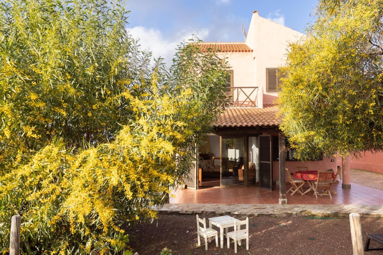 Home2Book Amazing Teide View & Terrace Sauzal Bagian luar foto