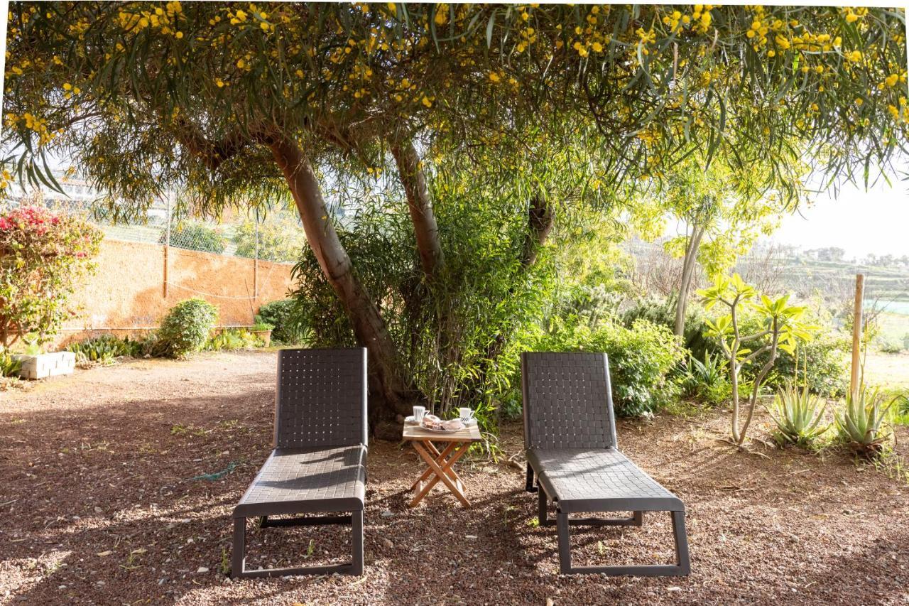 Home2Book Amazing Teide View & Terrace Sauzal Bagian luar foto